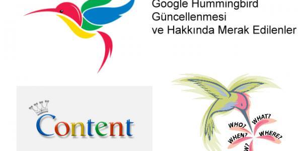 Google Hummingbird güncellemesi 